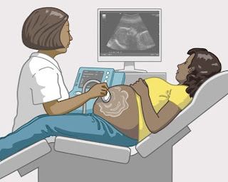 دكتورة نساء وولادة في مستشفى سليمان الحبيب 2022 Habib Hospitals