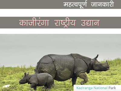 काज़ीरंगा राष्ट्रीय उद्यान की जानकारी  (Kaziranga National Park GK in Hindi)