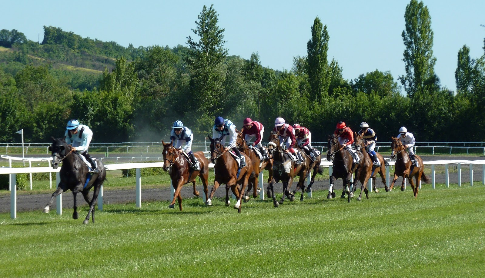 Free & Paid Horse Racing Live Streaming In UK: What are the Options?