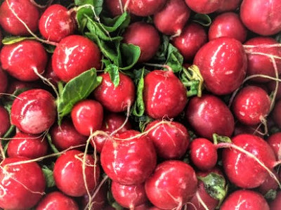 radishes are used in the case of sand coming from the kidney and bladder.