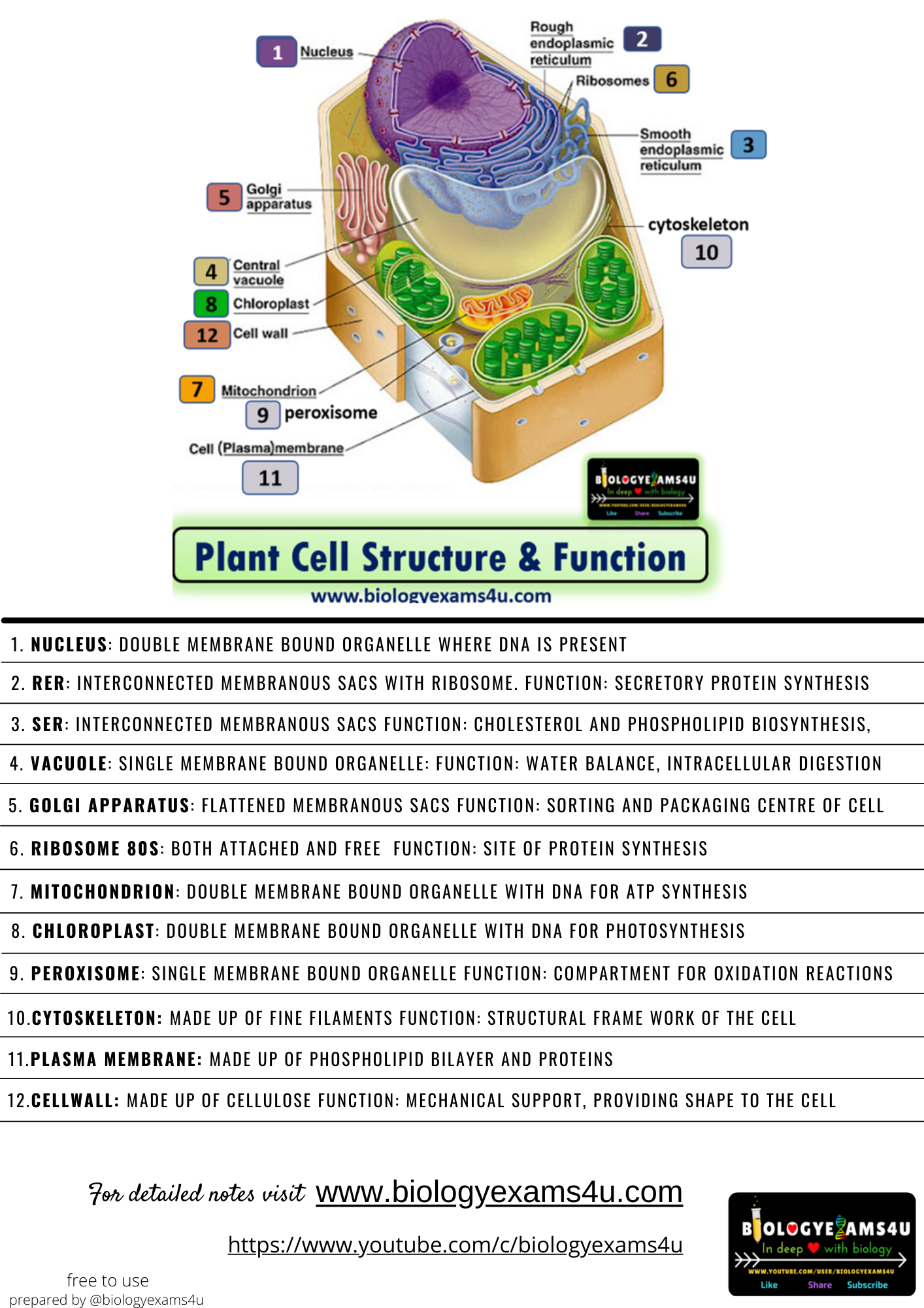 Plant cell structure and Function Poster