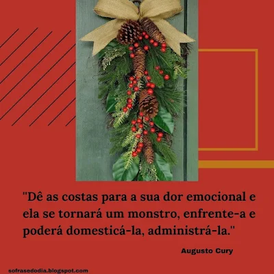 Frase do Dia - 30 de Dezembro - Augusto Cury