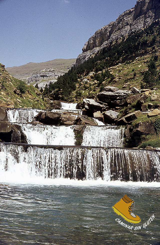 DIAPOSITIVA GRADAS DEL SOASO 1981