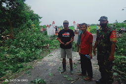 Babinsa Karangdowo Dan Relawan Evakuasi Pohon Tumbang Ke Jalan