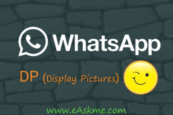 WhatsApp DP, Profile Pics | 200+ Latest Amazing Best Free Download (Updated 2023): eAskme
