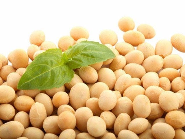 15 فائدة مذهلة لفول الصويا للبشرة والشعر والصحة
