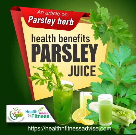 organic-parsley-for-uti-healthnfitnessadvise-com