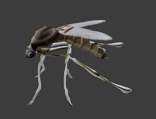 Mosquito fly rigged free 3d models fbx obj blend