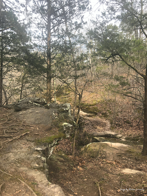 A rocky landscape with a variety of vistas entices at Ferne Clyffe State Park