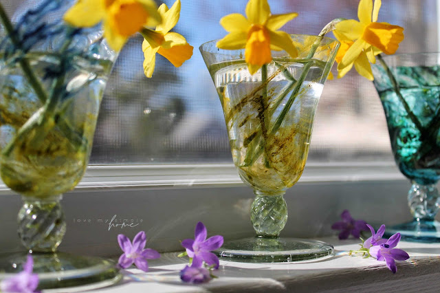 sweet-mini-daffodils-love-my-simple-home