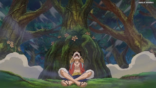 ワンピースアニメ ゾウ編 754話 ルフィ Monkey D. Luffy | ONE PIECE Episode 754