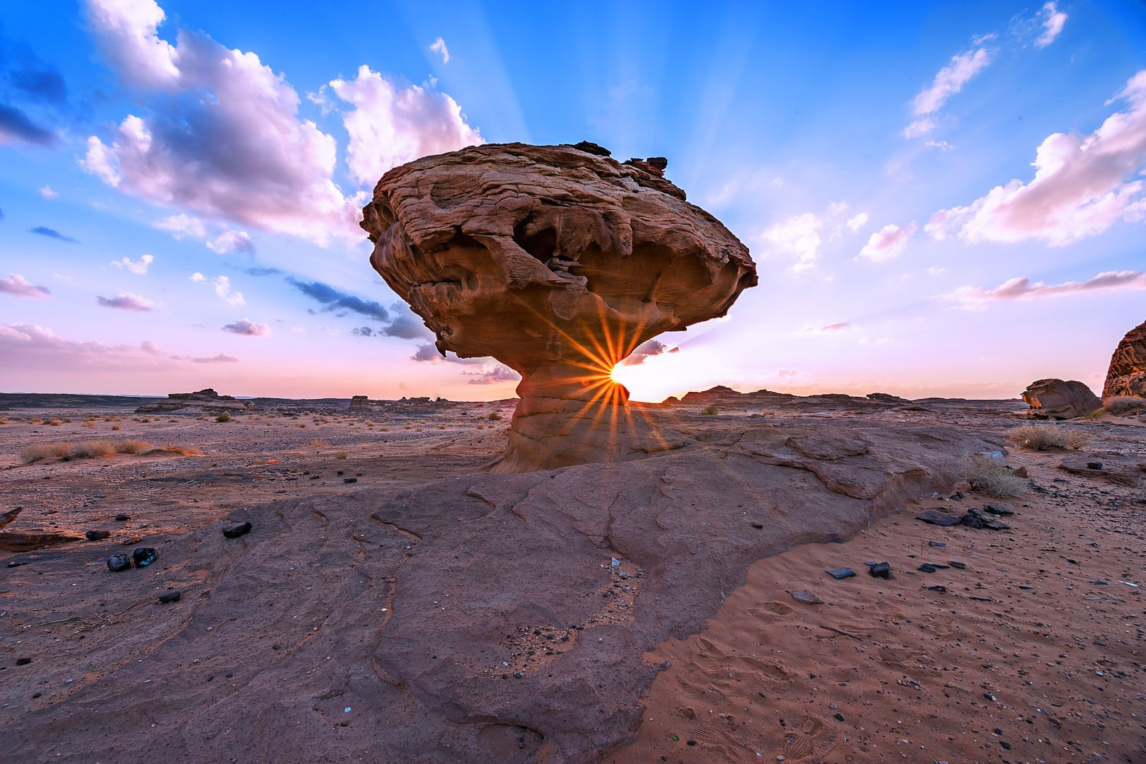 Fydubai adds Al Ula to its network in Saudi Arabia, resumes operations to Yanbu