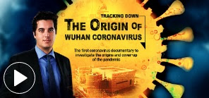 A koronavírus eredetének nyomában