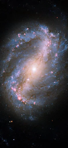 Barred spiral galaxy NGC 6217