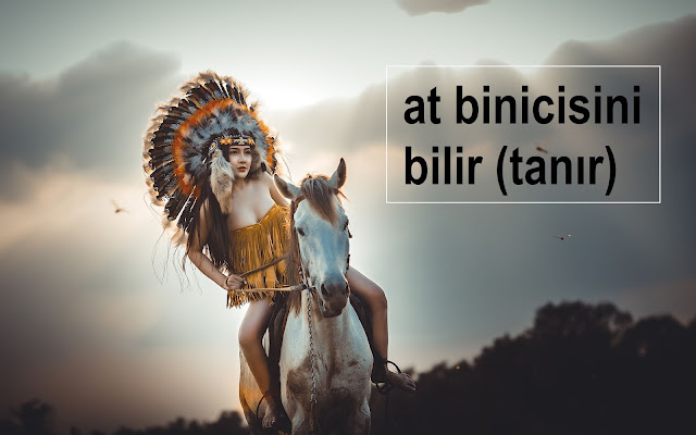 at binicisini bilir (tanır)