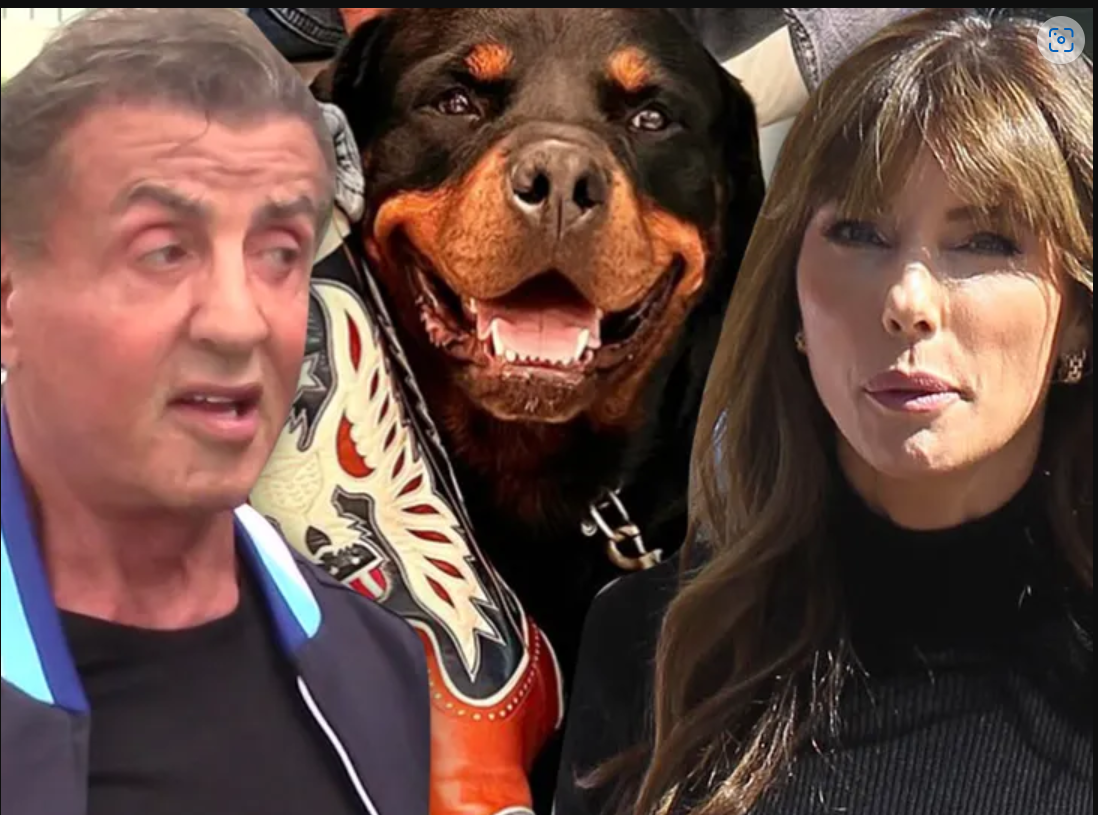 Sylvester Stallone and Jennifer Flavin's divorce was triggered by new dog
