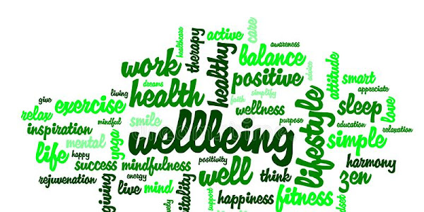 IMPORTANCE OF WELLNESS