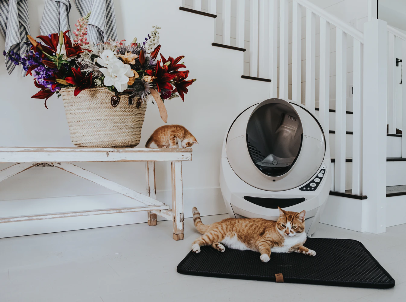 Self-cleaning litter box