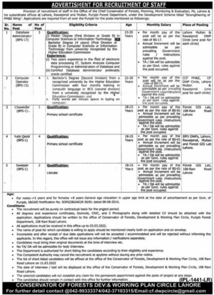 Forest Department Jobs 2022 | Latest Job in Pakistan