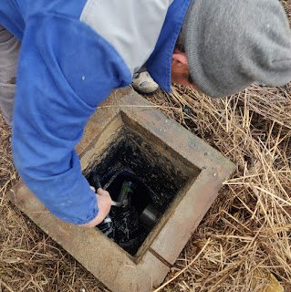 Cleaning the walls with a dog food tin on a stick