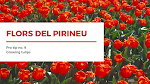 Les flors del Pirineu