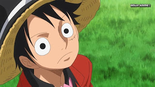 ワンピースアニメ WCI編 843話 ルフィ かわいい Monkey D. Luffy | ONE PIECE ホールケーキアイランド編