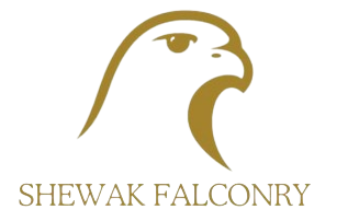 Shewak Falconry