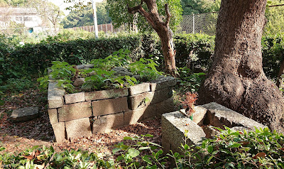 古室八幡神社(藤井寺市)