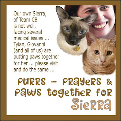 Good Thoughts For Sierra