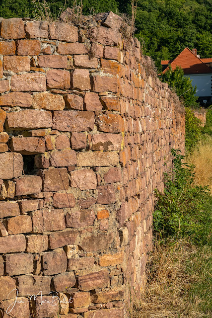 Abbaye de Marbach — Mur d'enceinte, côté est.