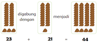 Banyaknya buah salak sebanyak 44 buah www.simplenews.me