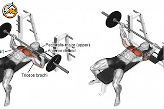 Old-School Chest Workout For Mass and Strength