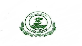 Social Welfare & Bait-Ul-Maal Department Punjab Jobs 2022 in Pakistan