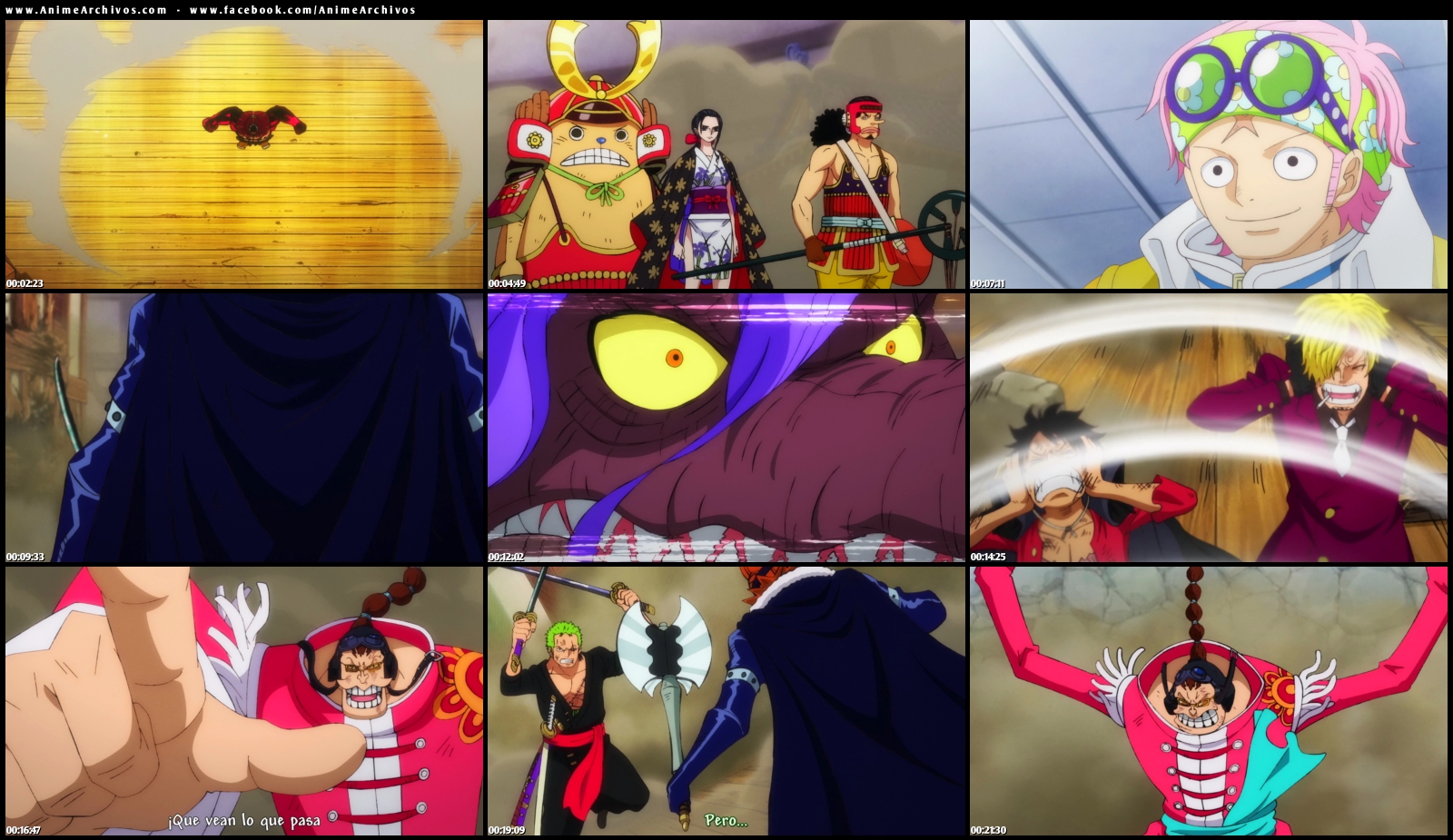 One Piece 1002 Sub Español