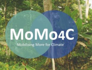 Mobilising More for Climate #MoMo4C – Cameroon