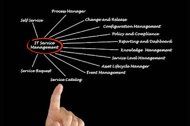 it management services