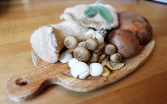 Health Benefits of Mushrooms & Portobello Mushrooms