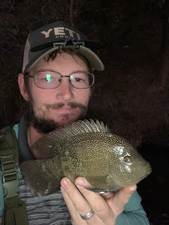 Rio Grande Cichlid, Texas Cichlid, Cichlid on the fly , fly fishing for rio grande cichlid, texas fly fishing, fly fishing texas, YOTRio2021, year of the Rio