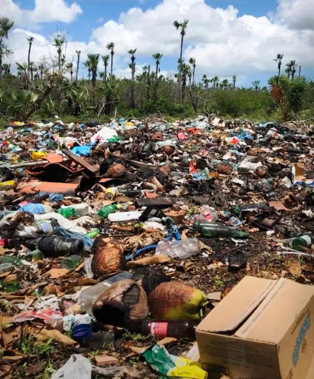 Ativista denuncia crime ambiental nas proximidades de lagoa em Cajueiro da Praia