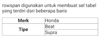 Hasil Program 2 : Atribut rowspan