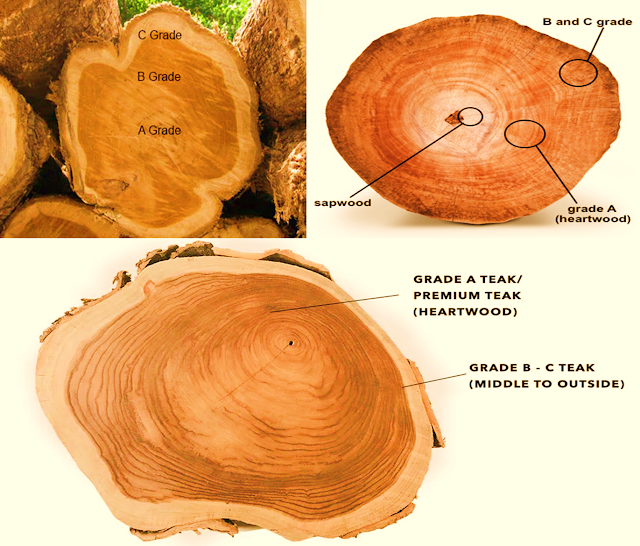 teak Wood grades