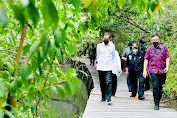 Presiden Tinjau Hutan Mangrove di Bali