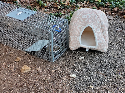Cat Trap & Shelter
