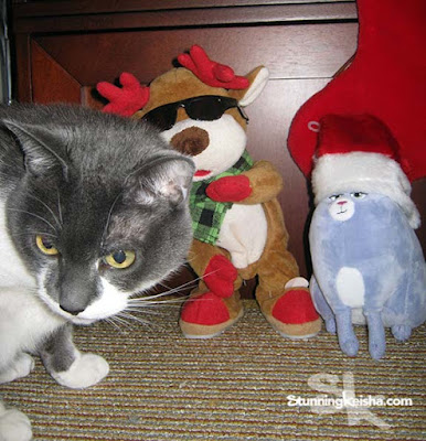 Flashback Feral Friday: Memories of Christmas Past