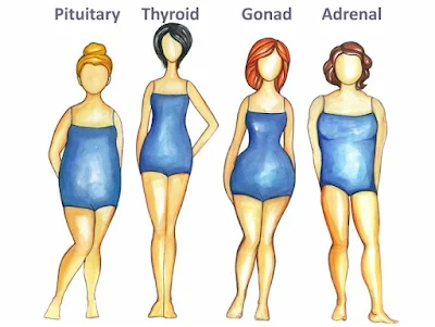 Thyroid and weight loss