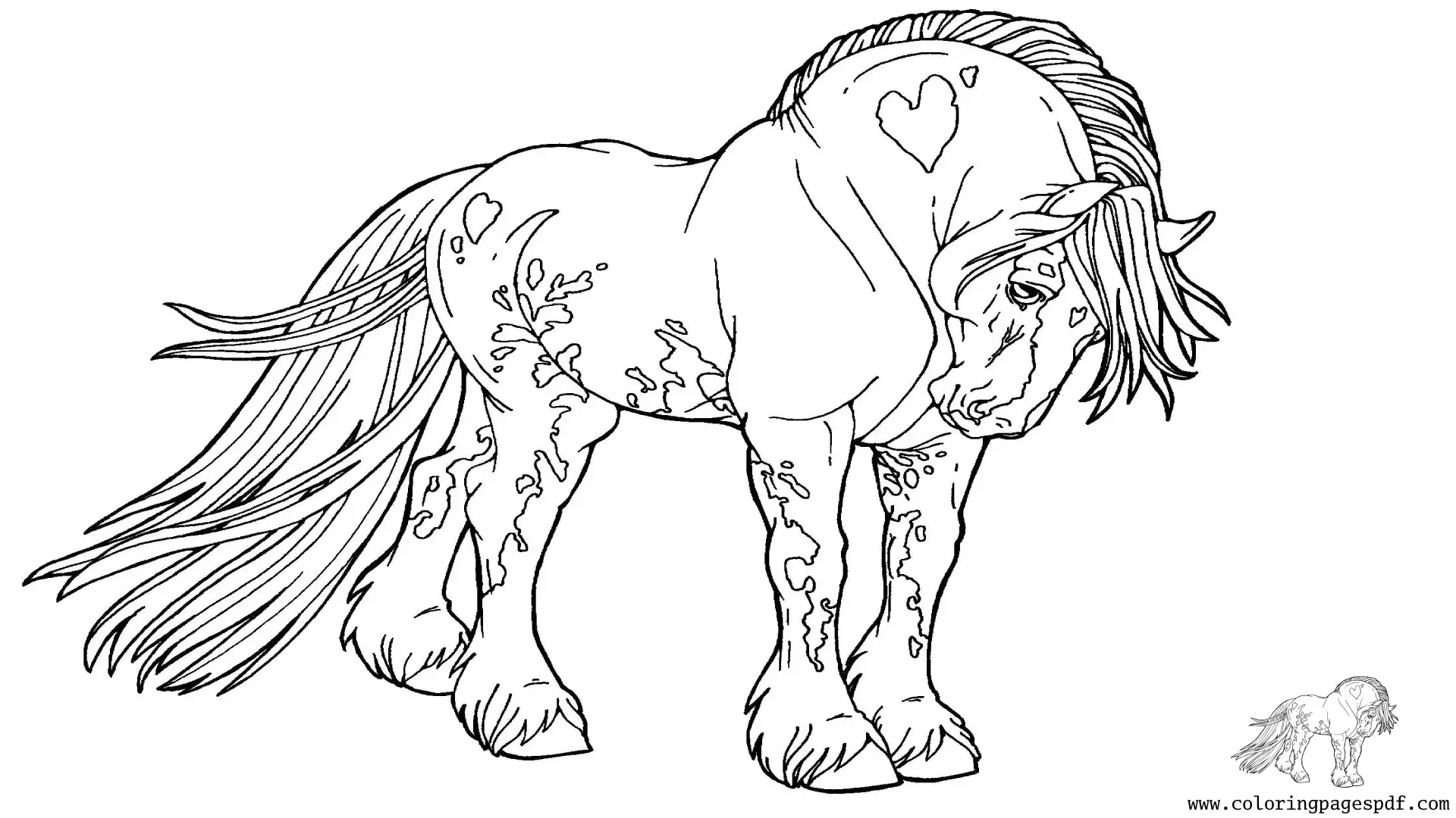 Coloring Page Of A Horse With Beautiful Hair