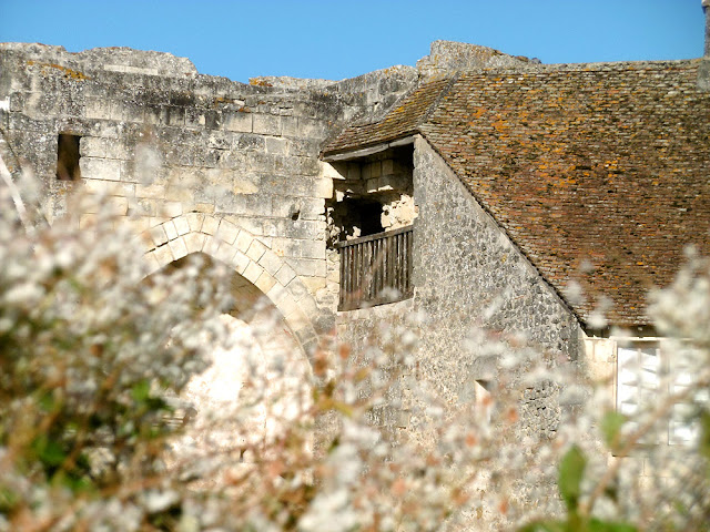 Chateau du Grand Pressigny, Indre et Loire, France. Photo by Loire Valley Time Travel.