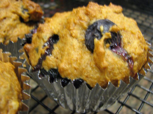 Yogurt Bran Muffins Recipe