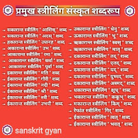 प्रमुख स्त्रीलिंग शब्दरूप