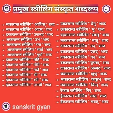 प्रमुख स्त्रीलिंग शब्दरूप